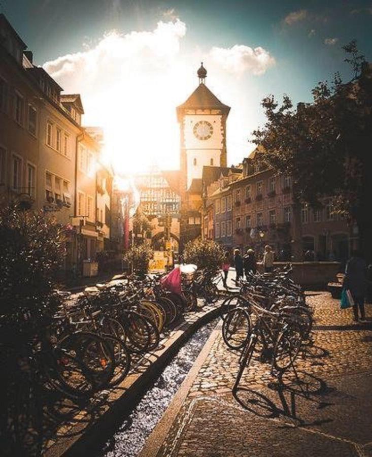 Studio Rome In Der Altstadt Apartment Фрайбург Екстериор снимка